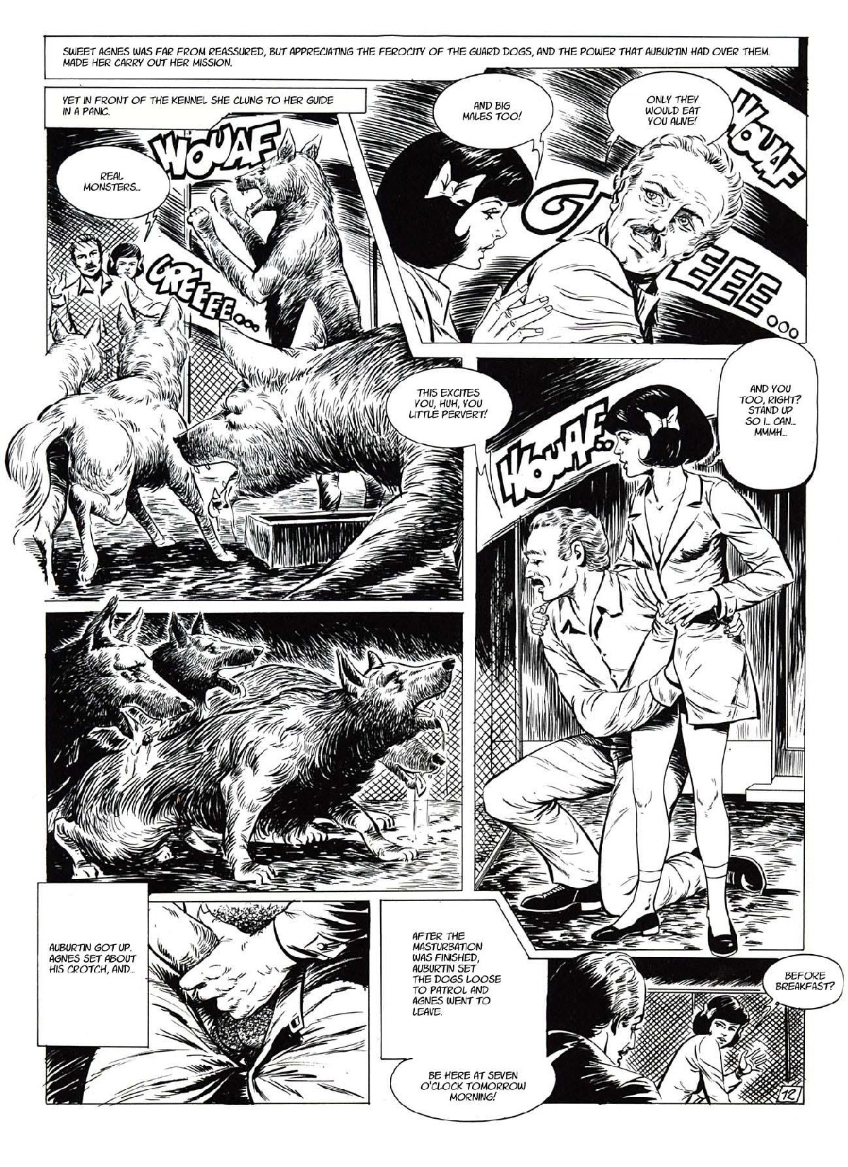 HDS attack page 11 full
