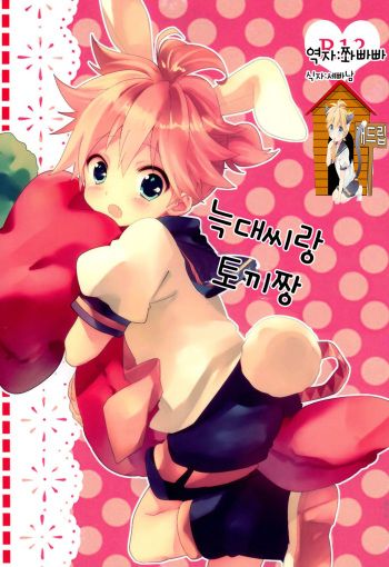 [Hey you! (Non)] Ookami-san to Usagi-chan | 늑대씨랑 토끼짱 (Vocaloid) [Korean] [Team Dog Drip] cover