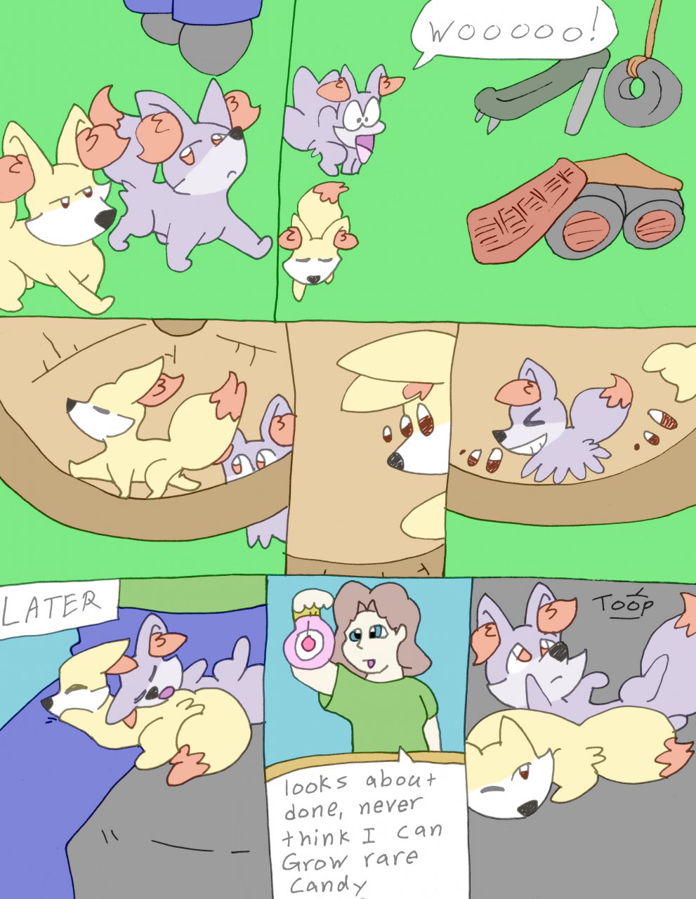Pokemon Trainer 2 page 2 full