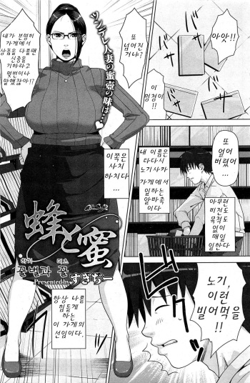 [Sugi G] Hachi to Mitsu (COMIC HOTMiLK 2013-03) [Korean] cover