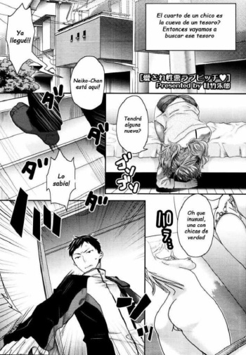 [Amatake Akewo] Aisare Shouwaru Love Bitch | Te gustaria tener tu propria y adorable ninfomana? Ch. 1-3 [Spanish] {Varkatzas666} [Decensored] cover