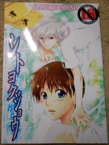 [CACHE-CACHE (Nanjou Papiko)] Shito Yokujou (Neon Genesis Evangelion) cover