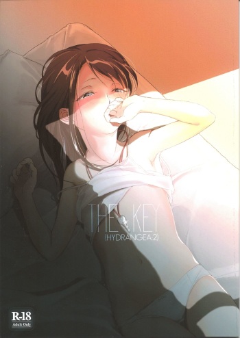 (C85) [Uso (Kuzuyu)] THE KEY cover