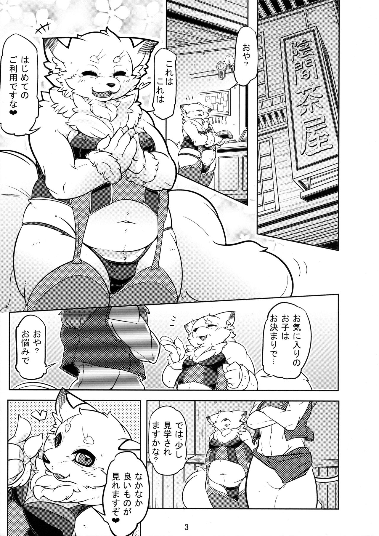 ♂ Kemo Lingerie Book page 4 full