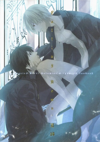 (HaruCC17) [hummel (Shia)] Falling Down (Fate/Zero) [English] [Something-or-other Scanlations] cover