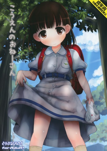 (C86) [Triple Pinch! (Hikami Izuto)] Kouen No Oneesan cover