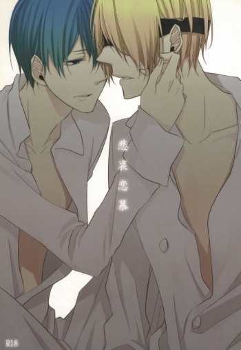 (C78) [INDEX (Akira)] Hiai Renbo (WORKING!!) cover