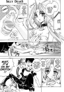 Suttoko Dears | Silly Dears