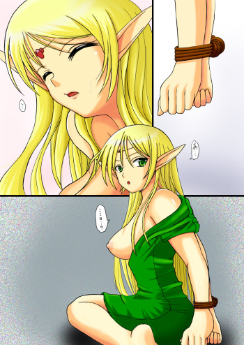 [Uosao] Record of Lodoss War ~Heroine Insult Collection~ (Record of Lodoss War) cover