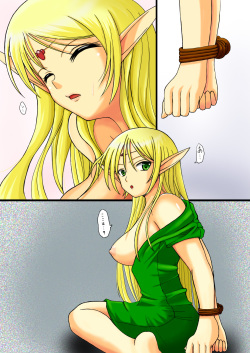 Record of Lodoss War ~Heroine Insult Collection~