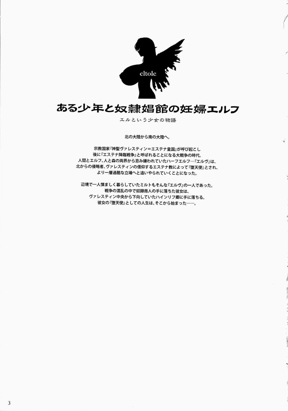 Aru Shounen to Dorei Shoukan no Ninpu Elf | A Boy And A Pregnant Elf From A Slave Brothel page 3 full