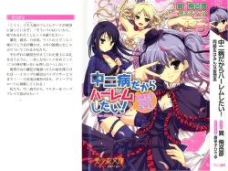 Chu-2 byo dakara HAREM shitai !：Doukyuusei wa Minna Mousou Kei