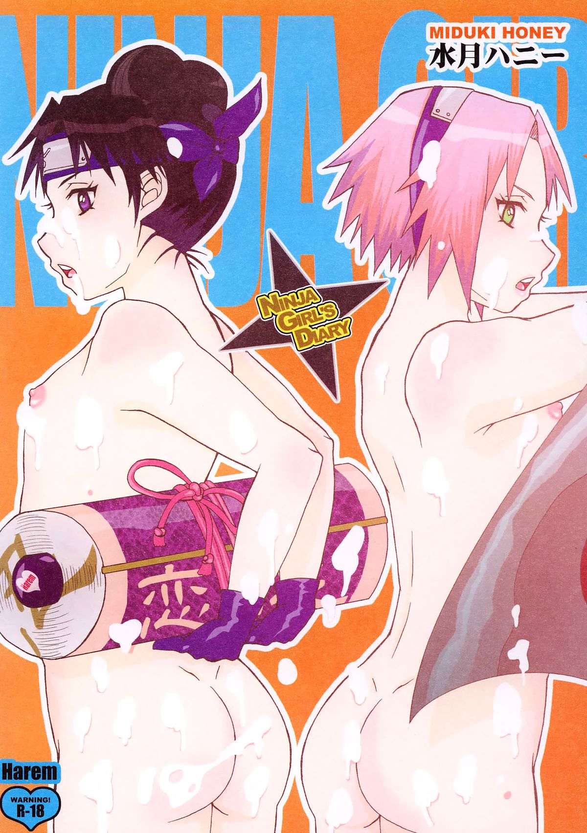 Ninja Girl's Diary page 1 full