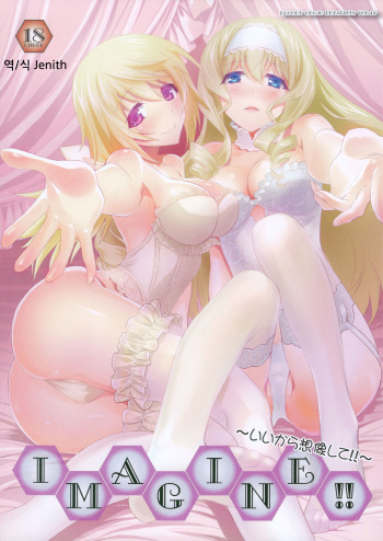 (COMIC1☆8) [Bloody Okojo (Mojyako, Caviar)] IMAGINE!! ~Iikara Souzou Shite!!~ (IS <Infinite Stratos>) [Korean] [Liberty Library] cover