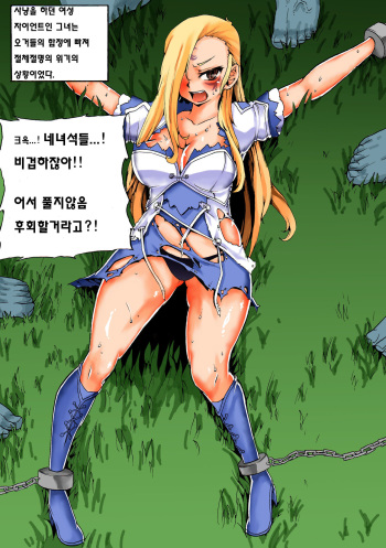 [Zion] マビノギ ERO!!! (Mabinogi) [Korean] cover