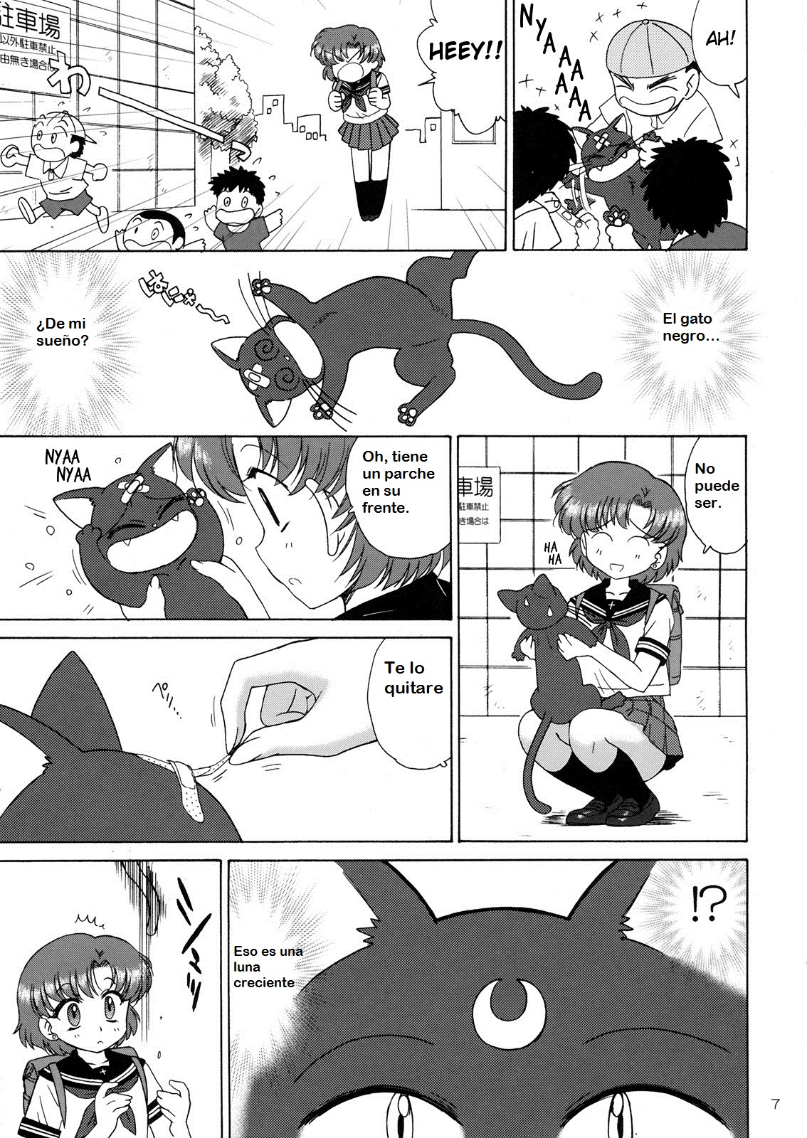 SUBMISSION-R RE MERCURY page 6 full