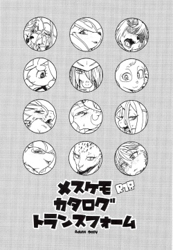 mesukemo Catalog Transform