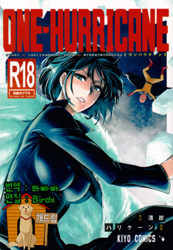 (C86) [Kiyosumi Hurricane (Kiyosumi Hurricane)] ONE-HURRICANE (One Punch Man) [Korean] [Team Dog Drip] cover