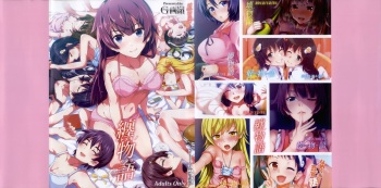 (C85) [Galley (ryoma)] Matomemonogatari (Bakemonogatari) cover