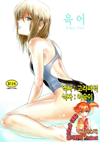 (C83) [MASHIRA-DOU (Mashiraga Aki)] Riku-Gyo | 육어 [Korean] [Team Mystic] cover