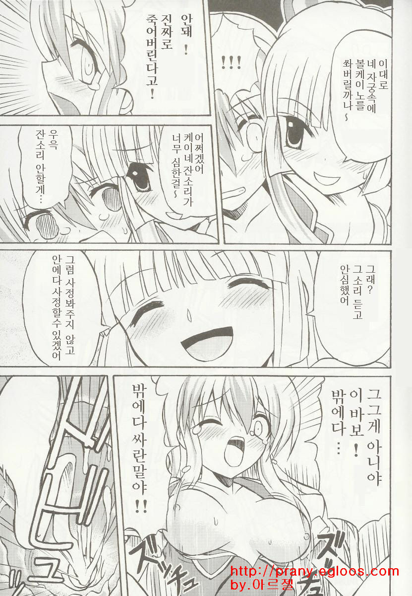 Touhou Youjo Ranbu 5 page 12 full