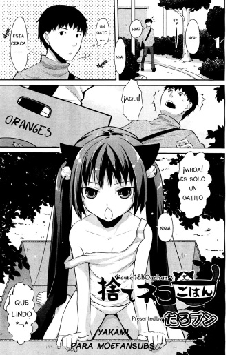 [Taropun] Sute Neko Gohan (COMIC Aun 2012-04) [Spanish] [Moe Fansub] cover