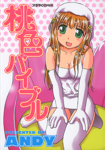 [ANDY] Momoiro Bible cover