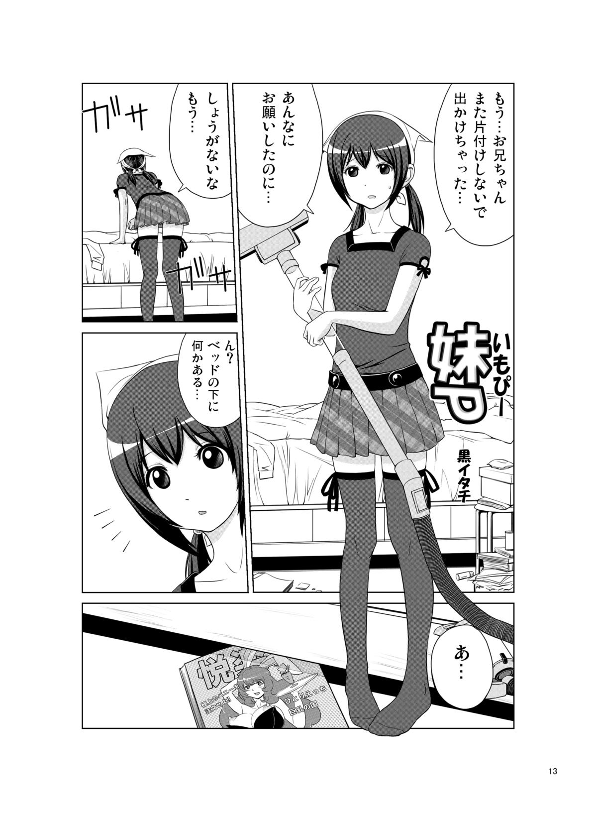 SisCon page 12 full