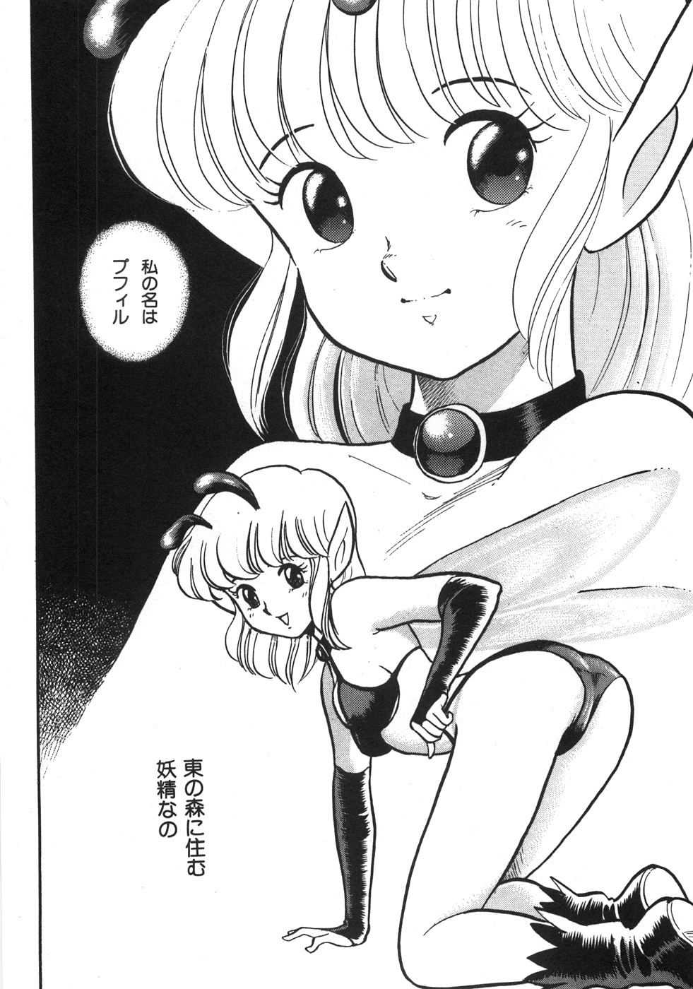 Bondage Fairies Zannin Shimai page 12 full