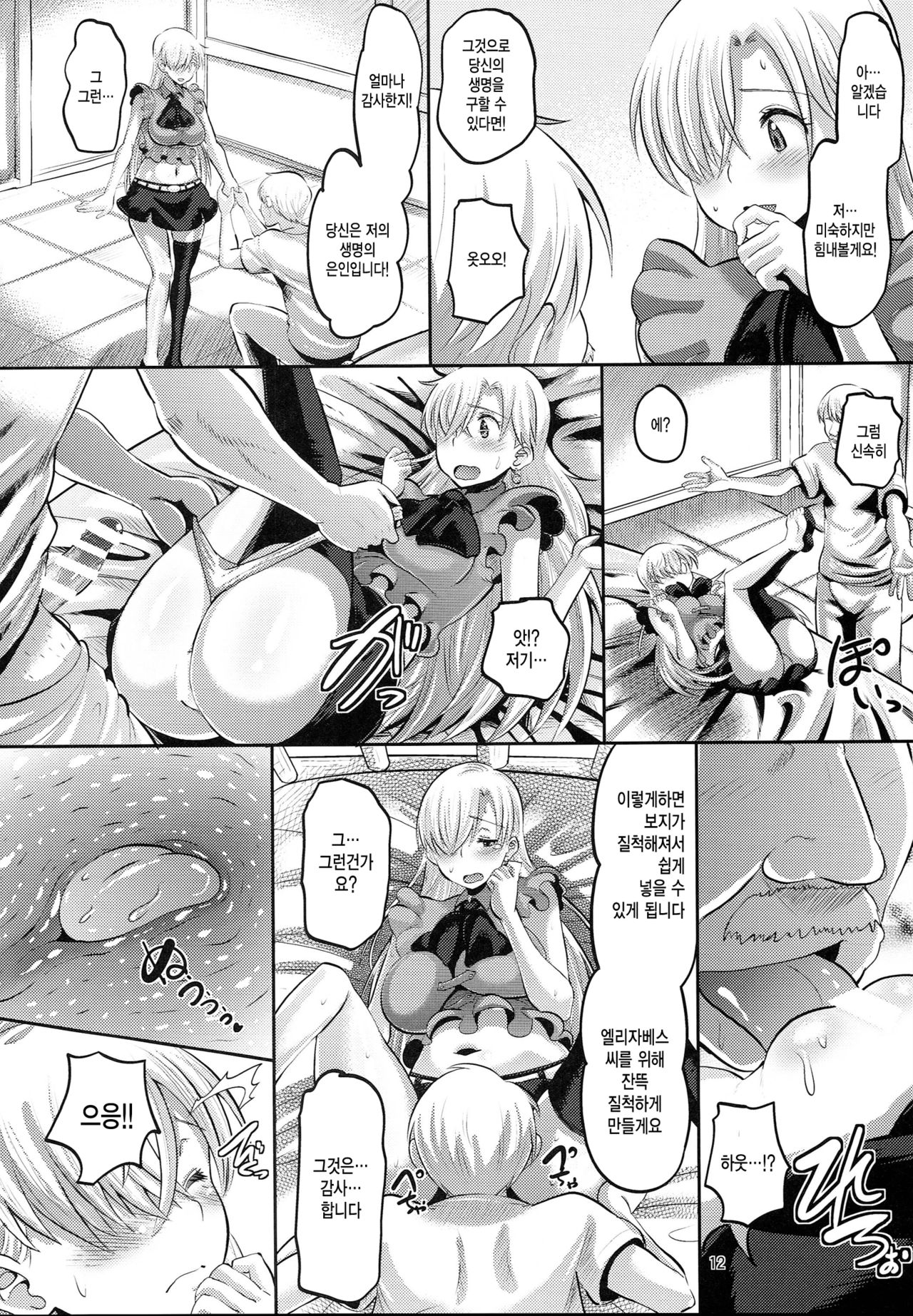 Damasare Oujo Elizabeth | 속여진 왕녀 엘리자베스 page 11 full