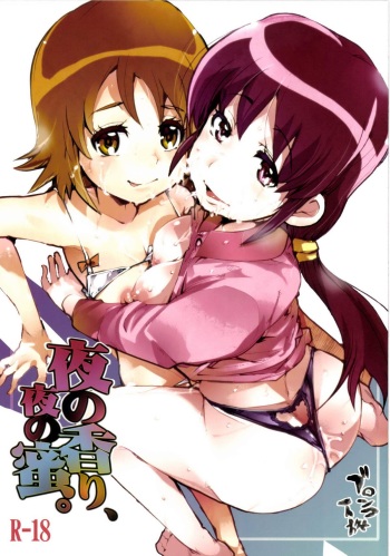 [Bronco Hitoritabi (Uchi-Uchi Keyaki)] Yoru no Kaori, Yoru no Mitsu. (HappinessCharge Precure!) [Digital] cover