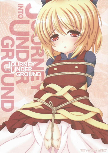 (C87) [Yamaneko Jinja (John Inu)] Journey Into Underground (Touhou Project) cover