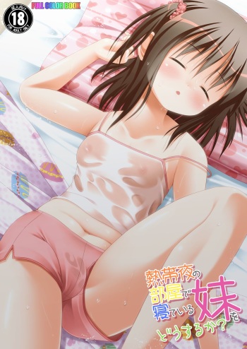 [Necocoya (Kanna Hisashi)] Nettaiya no Heya de Neteiru Imouto wo Dousuruka? [Digital] cover