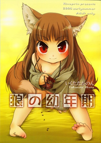 (Puniket 17) [Hinaprin (Ikuta Takanon)] Ookami no Younenki (Spice and Wolf) cover