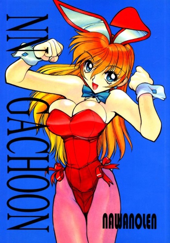 (C52) [Nawanoren (Shimizu Kiyoshi)] NN GACHOON (Various) cover