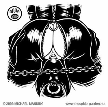 Michael Manning - Fetish Art cover
