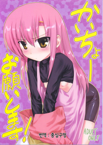 (C72) [ARCHIVES (Hechi)] Kaichou Onegaishimasu! (Hayate no Gotoku!) [Korean] cover