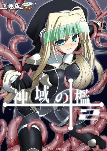 [Palette Enterprise]sin iki no ori 2 Shokai Genteiban cover