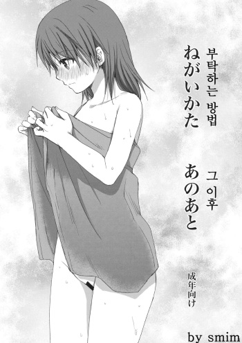 (C80) [Takumi na Muchi] Negai Kata Ano Ato (Toaru Kagaku no Railgun) [Korean] cover