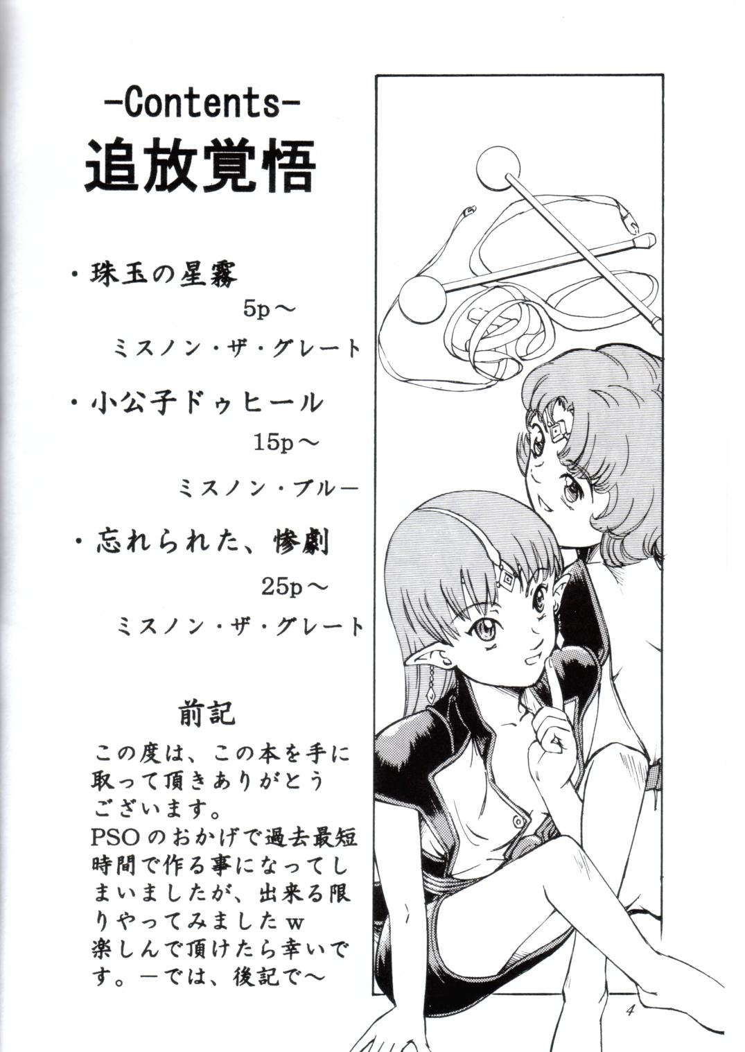 Tsuihou Kakugo Ver 6.0 page 4 full