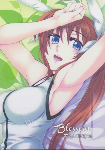 (C82) [ROCK'inChair (Jinnai)] Blossom (Mahou Shoujo Lyrical Nanoha) cover