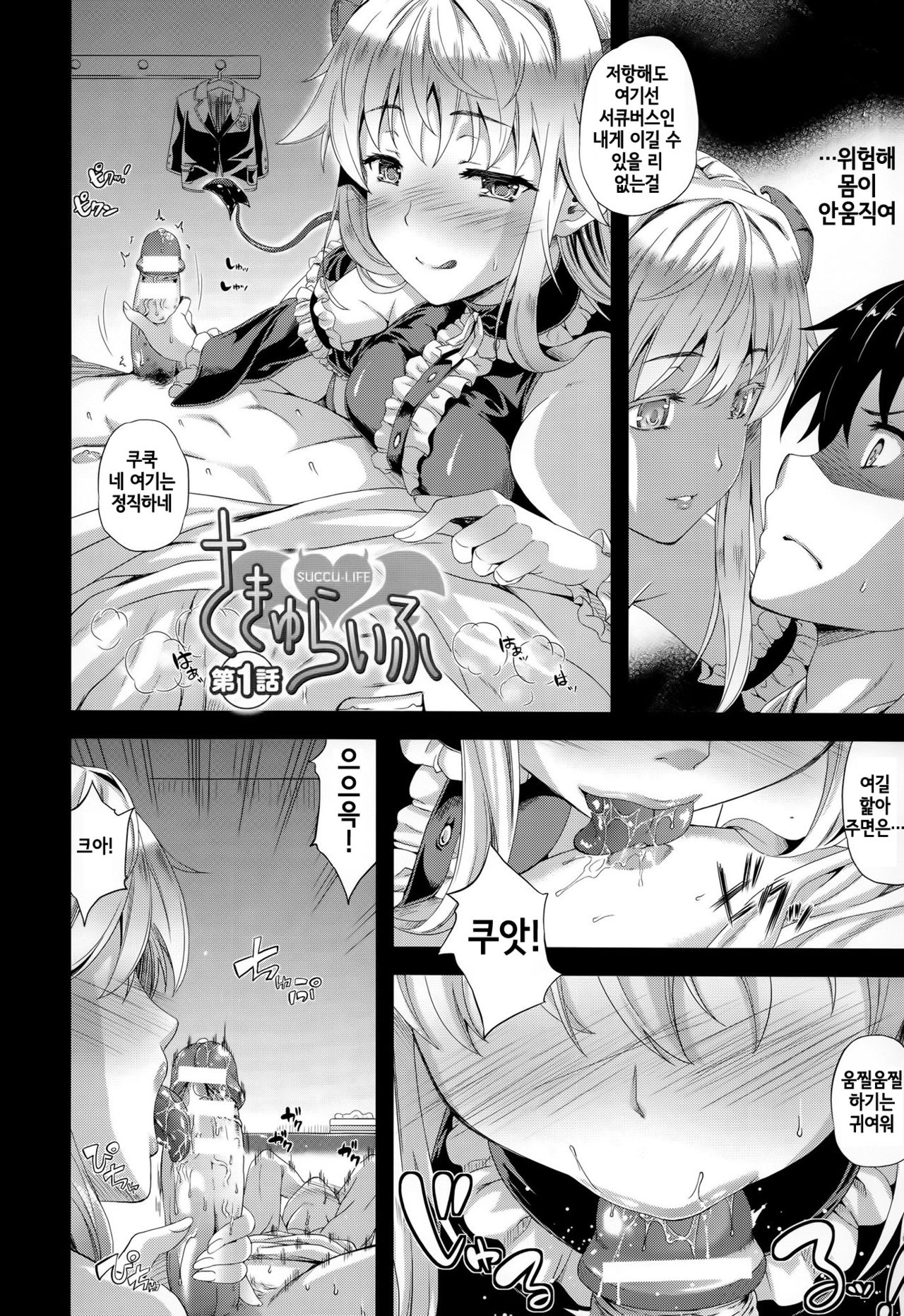 Succu Life page 11 full