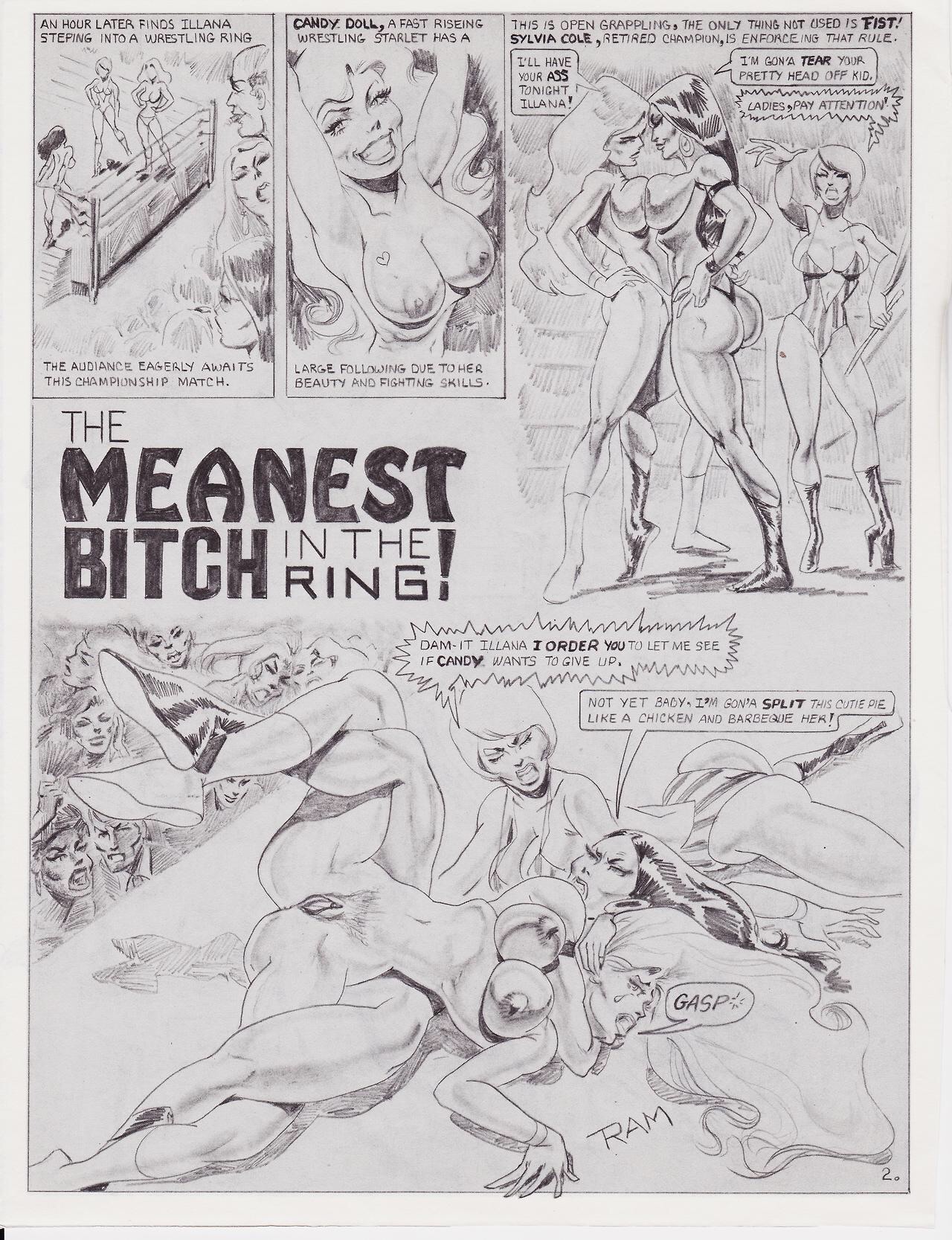 the Meanest Bitch in the Ring page 2 full
