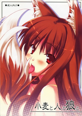 (SC38) [Koito Sousakusho (Hinata Mutsuki)] Komugi to Hito to Ookami to (Spice and Wolf) cover