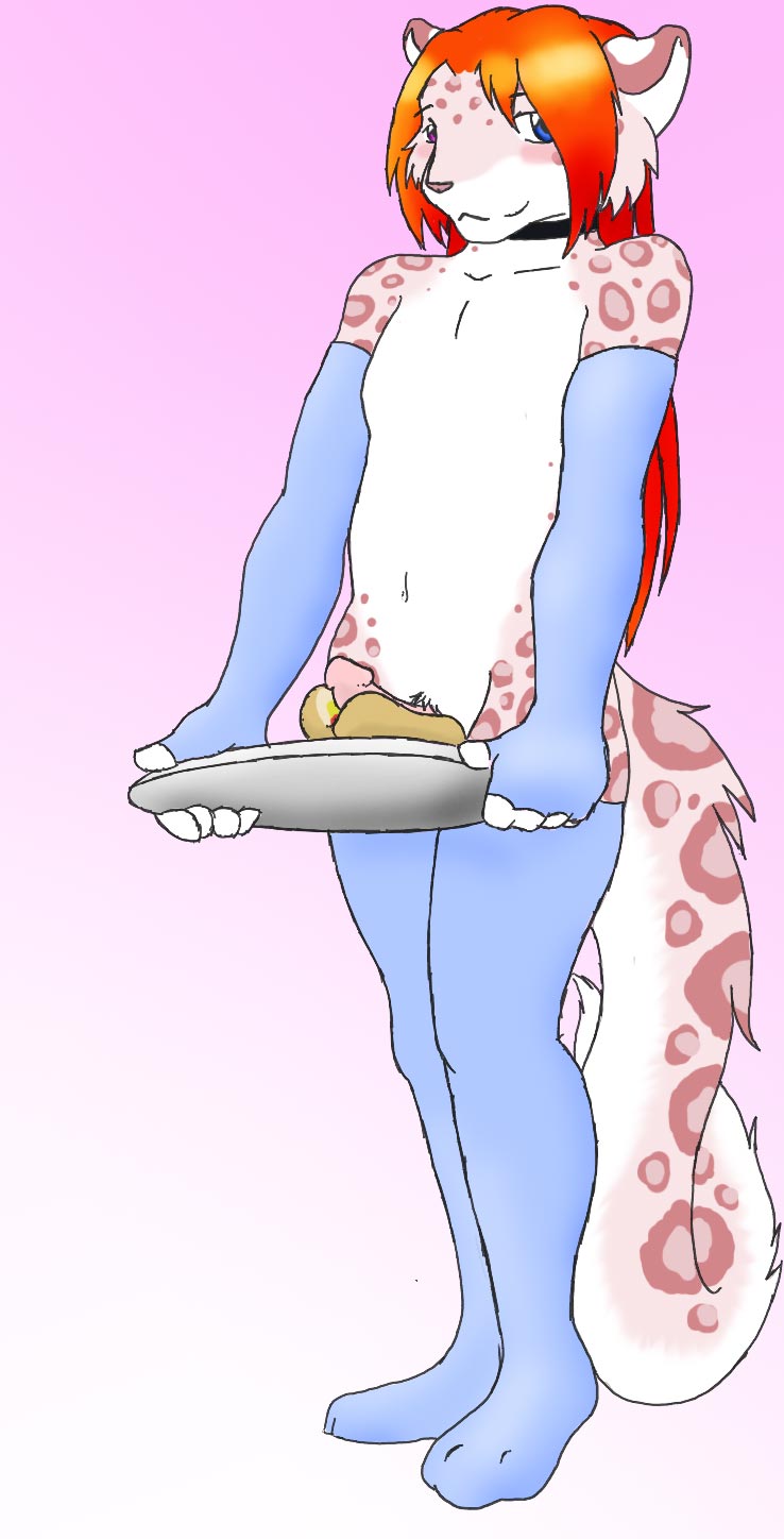 Accelo page 12 full