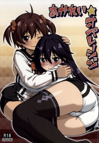 (C87) [YOU2HP (YOU2)] AkaRei☆Operation (Vividred Operation) cover