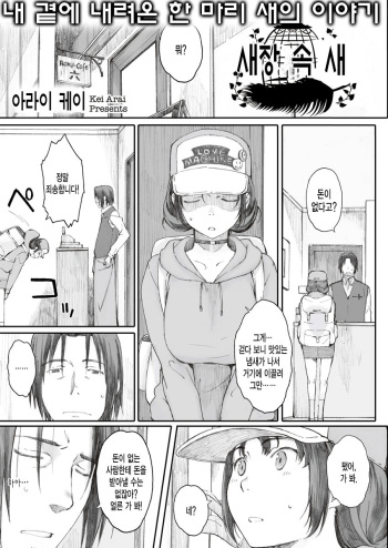 [Arai Kei] Hitoya no Tori (COMIC MEGASTORE α 2013-09) [Korean] cover