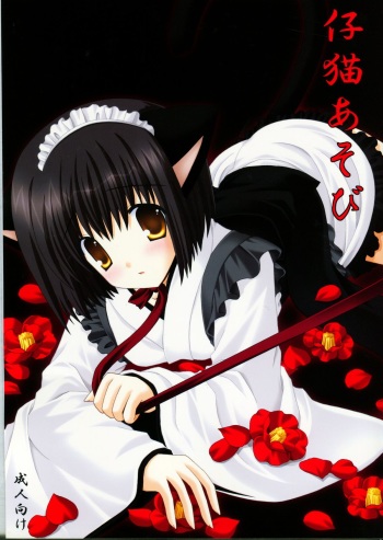 (C72) [Neko Kinryouku (NekoNeko)] Koneko Asobi cover