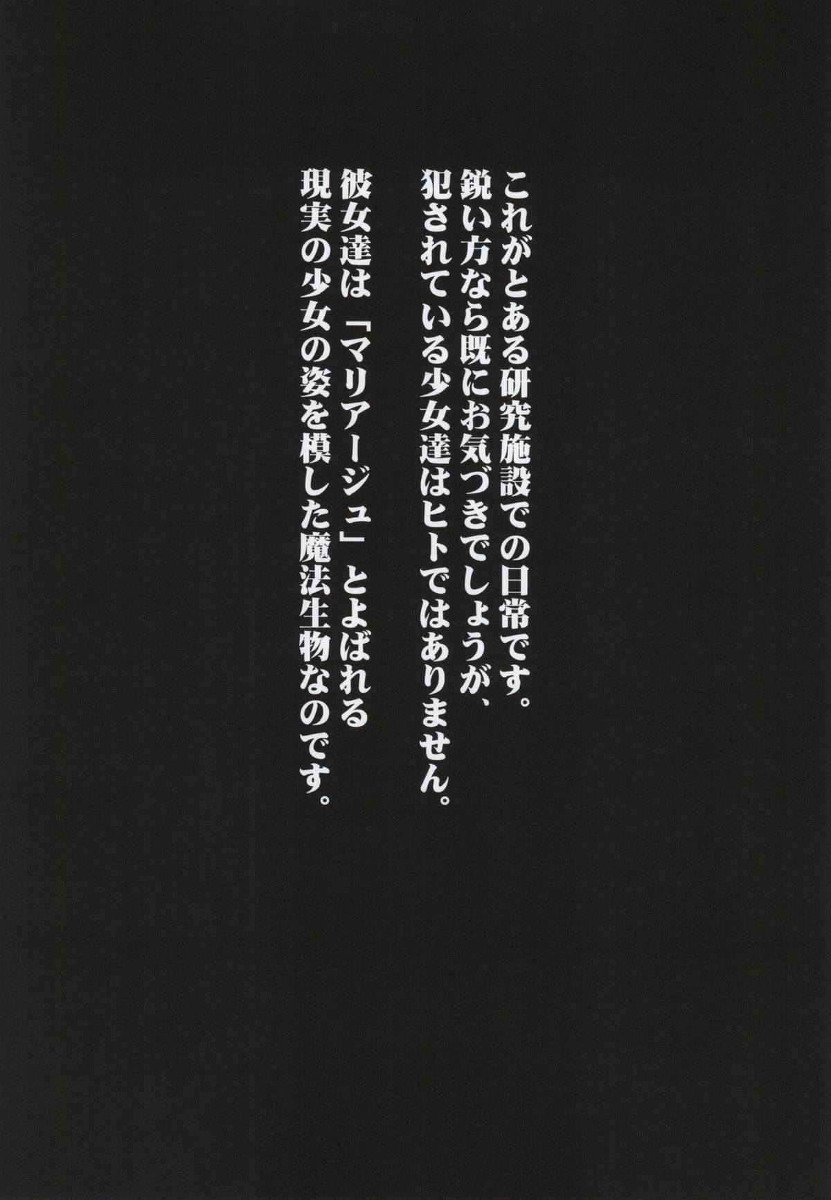 X Report -Ketsujitsu- page 12 full