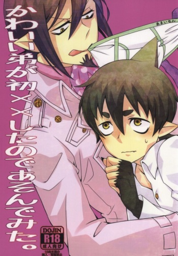 [Jingai paradox (14)] Kawaii Otouto ga Hatsu×× Shita node Ason de Mita. (Ao no Exorcist) [Incomplete] cover